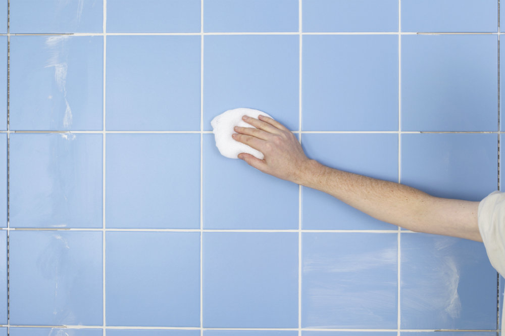 Como limpiar el moho de la pared. Limpiar o eliminar el moho
